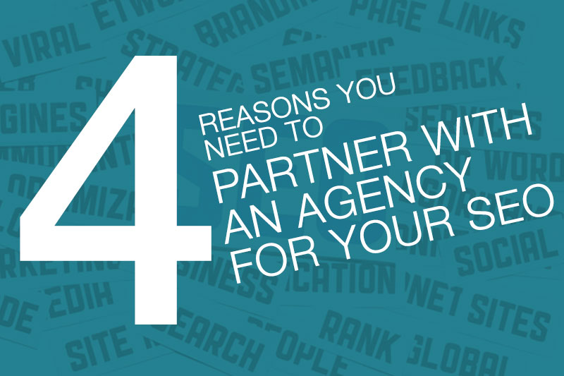 partner with agency for SEO